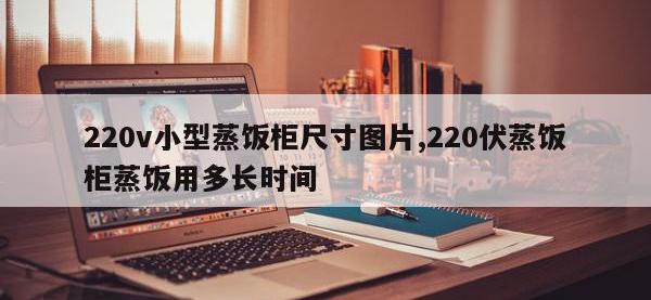 220v小型蒸饭柜尺寸图片,220伏蒸饭柜蒸饭用多长时间