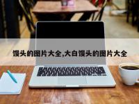 馒头的图片大全,大白馒头的图片大全
