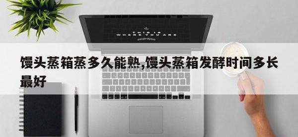 馒头蒸箱蒸多久能熟,馒头蒸箱发酵时间多长最好