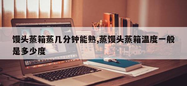 馒头蒸箱蒸几分钟能熟,蒸馒头蒸箱温度一般是多少度
