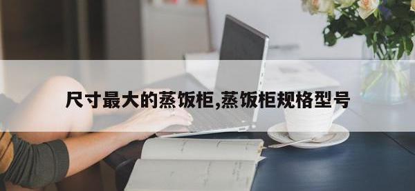 尺寸最大的蒸饭柜,蒸饭柜规格型号