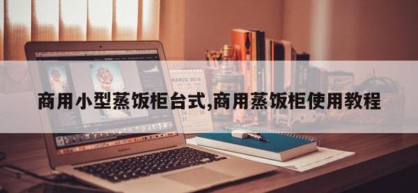 商用小型蒸饭柜台式,商用蒸饭柜使用教程