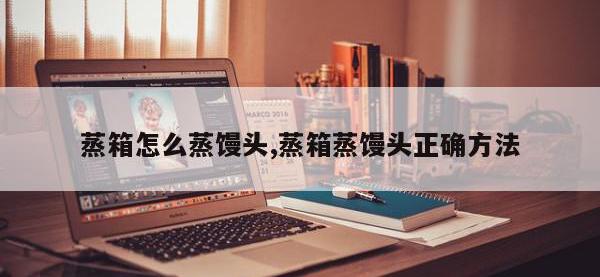 蒸箱怎么蒸馒头,蒸箱蒸馒头正确方法
