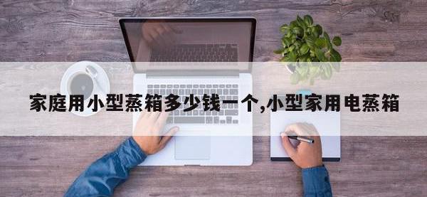 家庭用小型蒸箱多少钱一个,小型家用电蒸箱