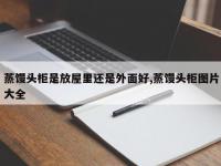 蒸馒头柜是放屋里还是外面好,蒸馒头柜图片大全