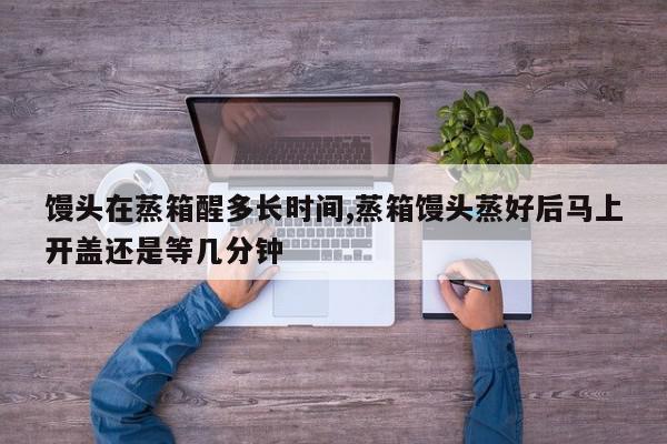馒头在蒸箱醒多长时间,蒸箱馒头蒸好后马上开盖还是等几分钟