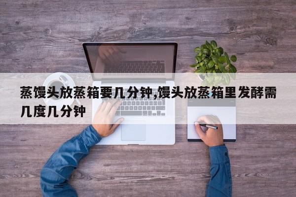 蒸馒头放蒸箱要几分钟,馒头放蒸箱里发酵需几度几分钟