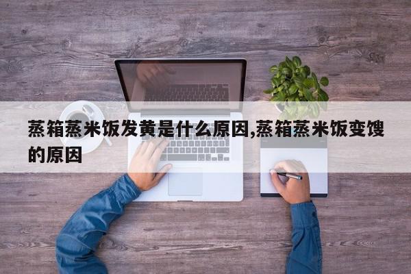 蒸箱蒸米饭发黄是什么原因,蒸箱蒸米饭变馊的原因